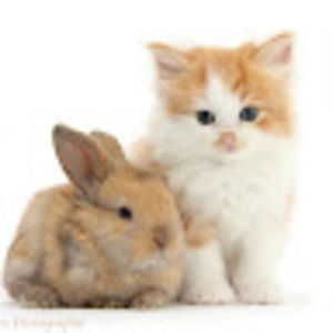 Meet your Posher, Leanne blair